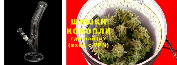винт Гусев