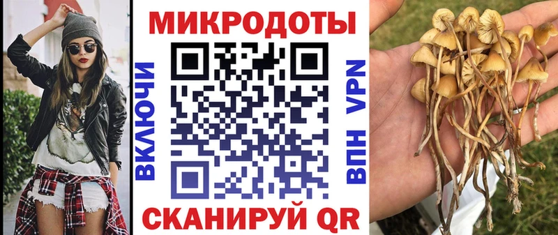 Псилоцибиновые грибы мицелий  Купить  Кирово-Чепецк 